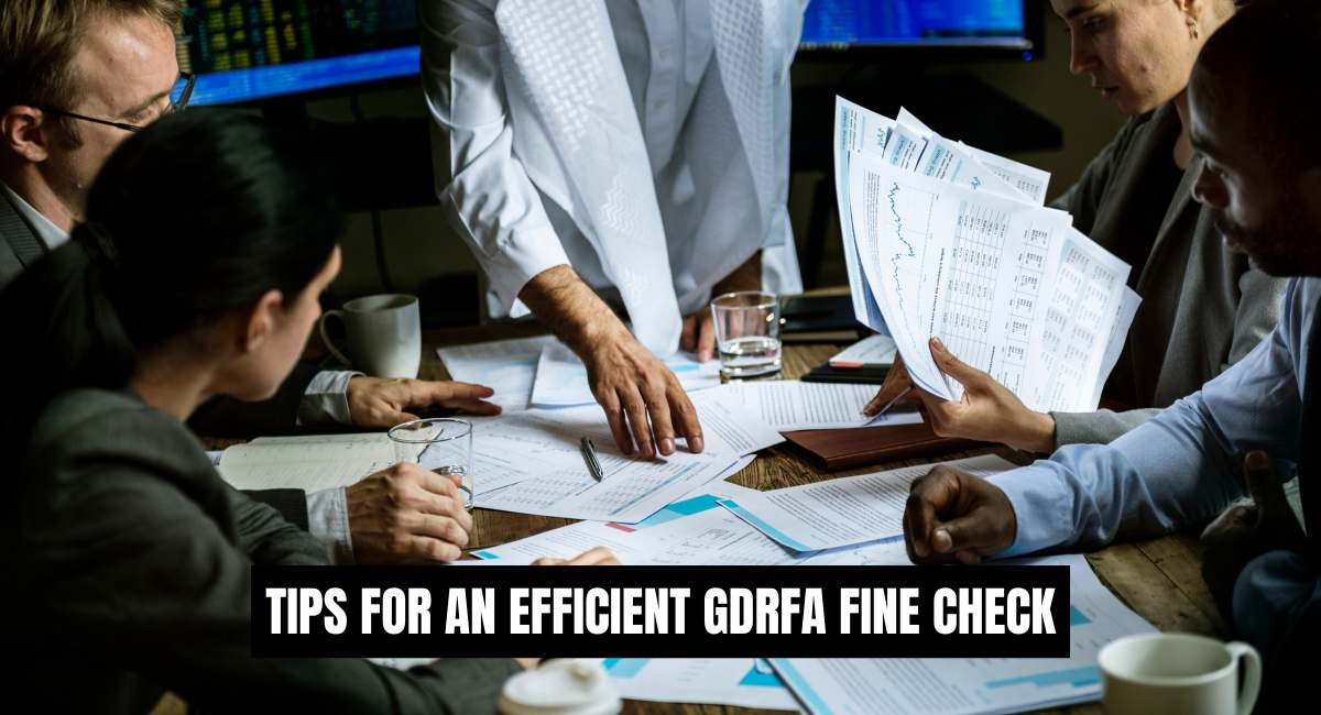 Tips for an Efficient GDRFA Fine Check