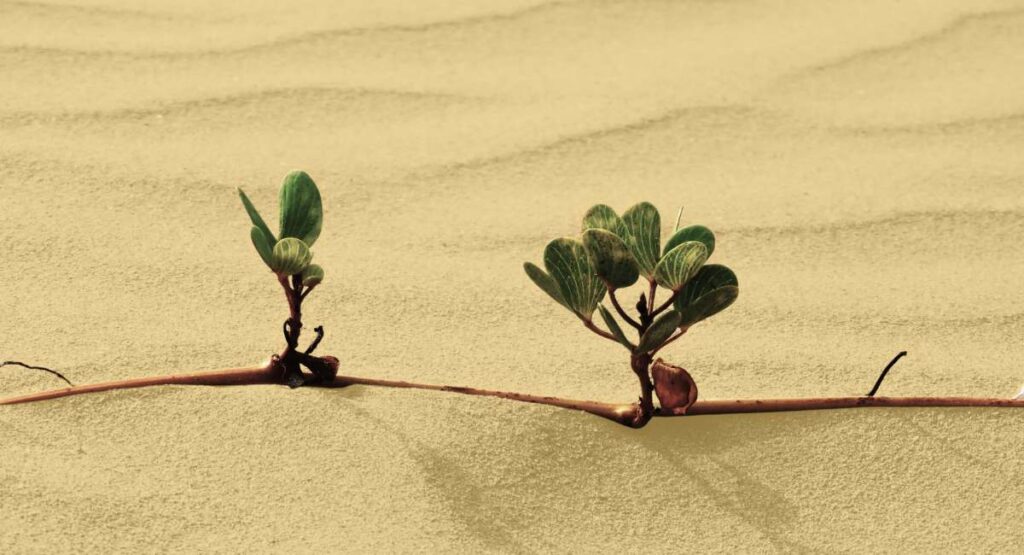 Why Triple Bottom Line Matters