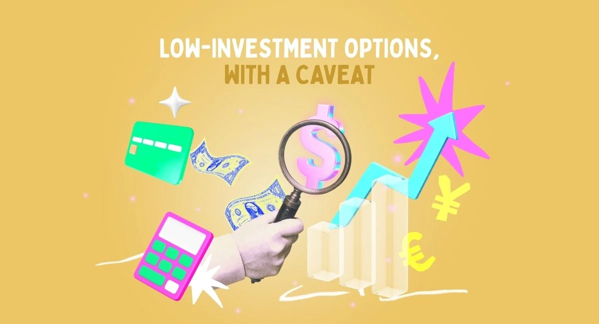 Low-Investment Options, With a Caveat